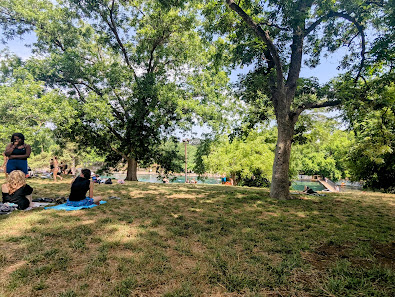 Barton Springs Municipal Pool